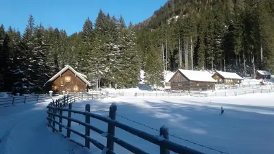 Denggnhof im Winter