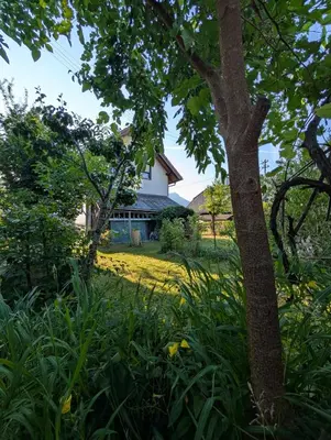Ein Garten an der Unterkunft Ferienhaus in der Schlipfing mit Garten