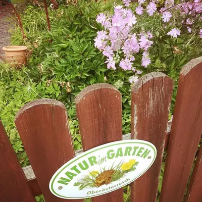 Ein Garten an der Unterkunft Ferienhaus in der Schlipfing mit Garten