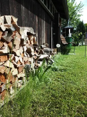 Ein Garten an der Unterkunft Ferienhaus in der Schlipfing mit Garten