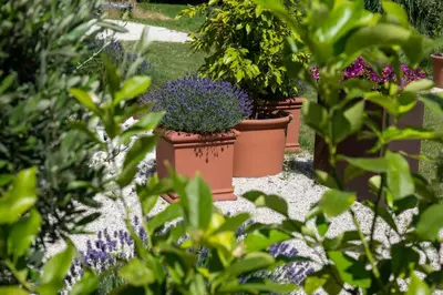 Ein Garten an der Unterkunft Seehotel Restaurant Lackner