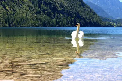 Naturlandschaft in der Nähe des Hotels