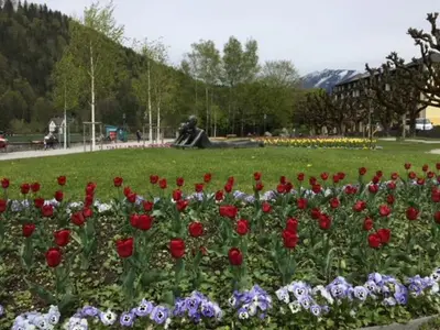Ein Garten an der Unterkunft Apartementhaus Schöndorfer