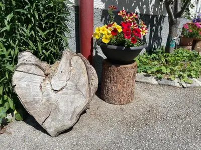Ein Garten an der Unterkunft Neudegghof