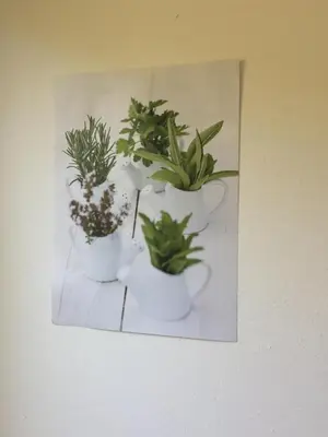 Grundriss der Unterkunft Ferienwohnung Am Sonnenhang