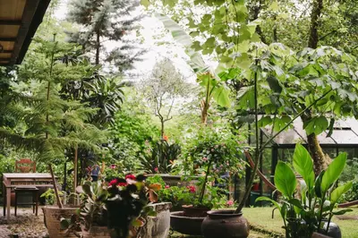 Ein Garten an der Unterkunft Sonnhof