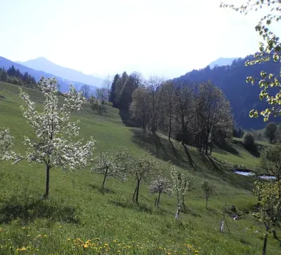 Naturlandschaft in der Nähe des Bauernhofs