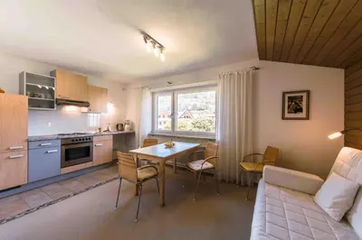 Küche/Küchenzeile in der Unterkunft Appartements Wurzer by Schladming-Appartements