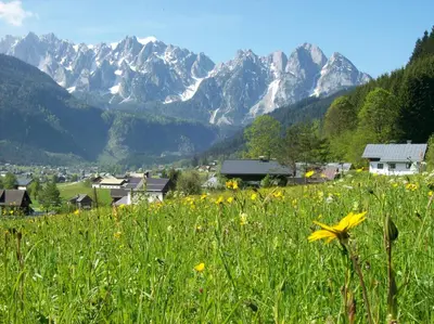 Naturlandschaft in der Nähe der Ferienwohnung