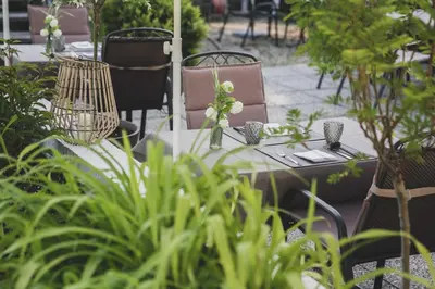 Ein Garten an der Unterkunft Bergrose Hideaway