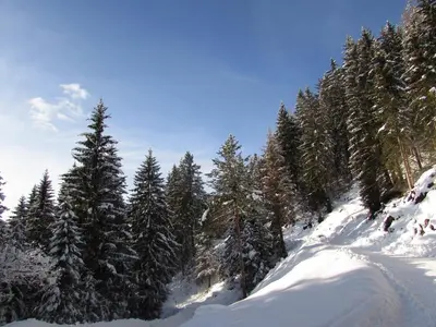 Appartement Sprung im Winter