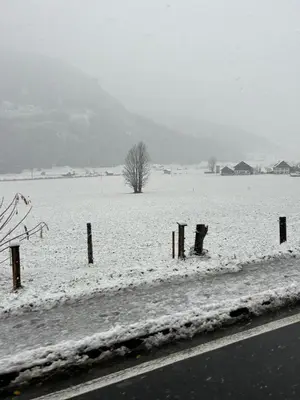 Naturlandschaft in der Nähe der Ferienwohnung