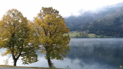 Naturlandschaft in der Nähe der Pension