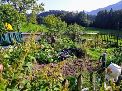 Ein Garten an der Unterkunft Leitingerhof
