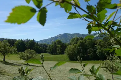 Naturlandschaft in der Nähe des Bauernhofs