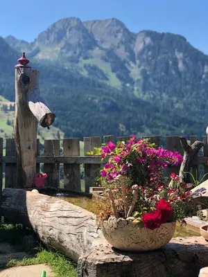 Ein allgemeiner Bergblick oder ein Berglick von der Ferienwohnung aus