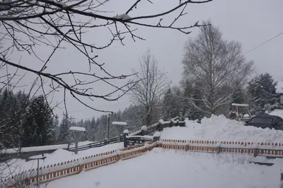 Fingerlos im Winter