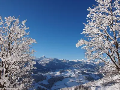 Naturlandschaft in der Nähe des Gasthauses