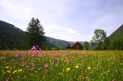 Naturlandschaft in der Nähe der Ferienwohnung