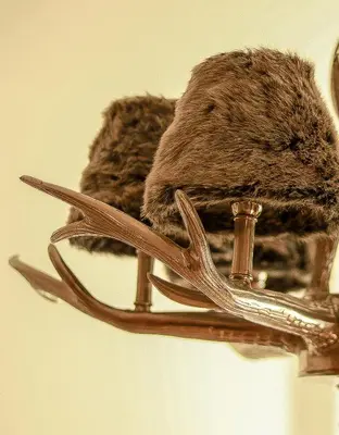 Tiere in der Pension oder in der Nähe