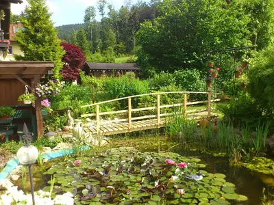 Ein Garten an der Unterkunft Haus Marianne