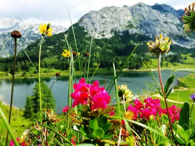 Naturlandschaft in der Nähe der Ferienwohnung