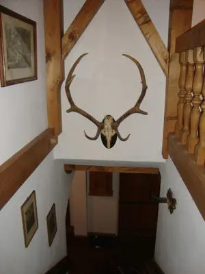 Grundriss der Unterkunft Landhaus Kurz