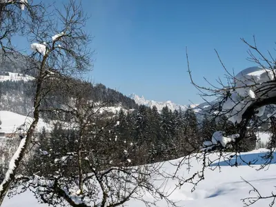 Mansion in Eben near Ski Salzburger Sportwelt im Winter