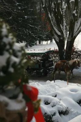 Pension Wolfgangsee im Winter