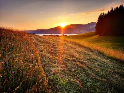 Naturlandschaft in der Nähe des Bauernhofs