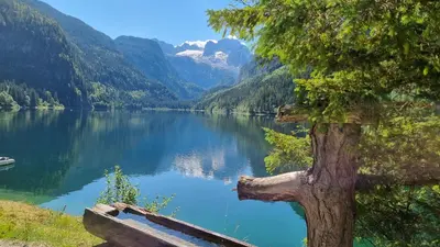 Grundriss der Unterkunft Appartement Alpenblick