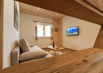 TV/Unterhaltungsangebot in der Unterkunft Schladminger Tauern Apartment
