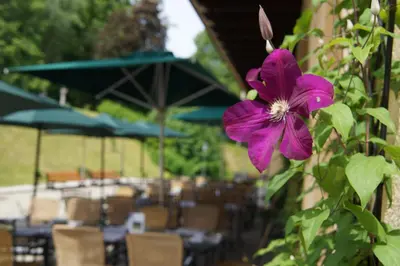 Ein Garten an der Unterkunft Naturhotel Schloss Kassegg