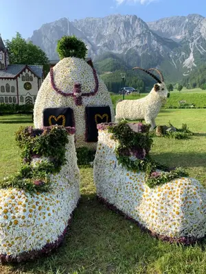 Ein allgemeiner Bergblick oder ein Berglick von der Ferienwohnung aus