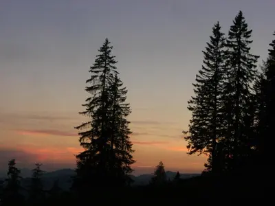 Naturlandschaft in der Nähe des Chalets