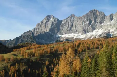 Naturlandschaft in der Nähe des Aparthotels