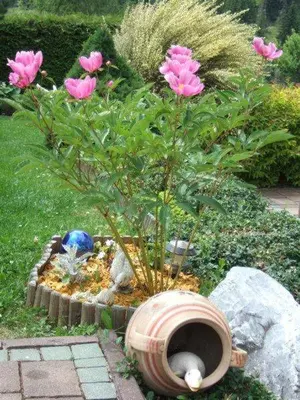 Ein Garten an der Unterkunft Lungau Apartment - Ferienwohnung Haus Esl