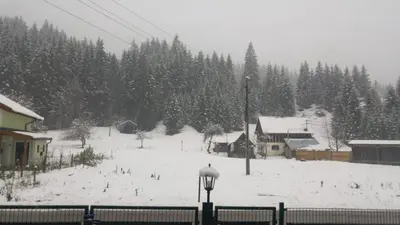 Ferienwohnungen Blockhaus - Zwergenhäusl Grünau im Almtal im Winter