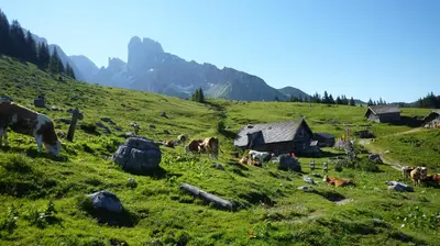 Naturlandschaft in der Nähe der Ferienwohnung