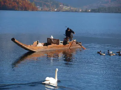 Naturlandschaft in der Nähe der Pension