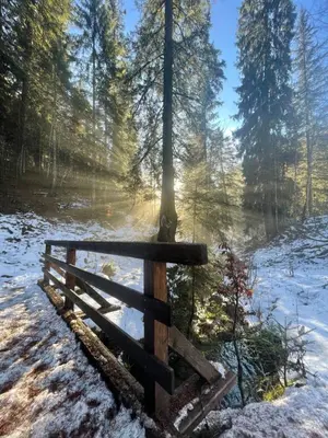 Naturlandschaft in der Nähe of country house