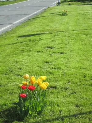 Ein Garten an der Unterkunft Jugendherberge Tamsweg