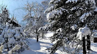 Alpinferienwohnung Neuhuber - Salzkammergut im Winter