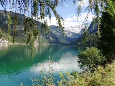 Naturlandschaft in der Nähe des Bauernhofs