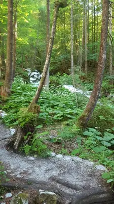 Naturlandschaft in der Nähe der Ferienwohnung