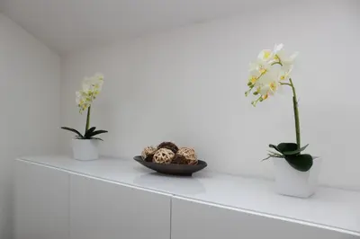 Grundriss der Unterkunft Ferienwohnung Lindpointner
