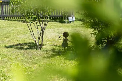 Ein Garten an der Unterkunft Haus Mandl