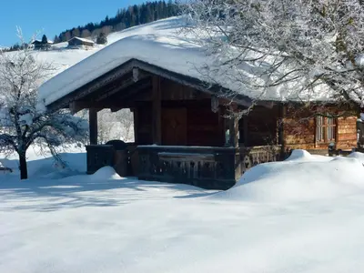Pension Grafengut im Winter