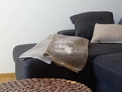 Ein Sitzbereich in der Unterkunft Leben!Pur - Alpenlofts