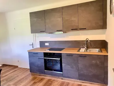 Küche/Küchenzeile in der Unterkunft Appartements Wieseneck - Ramsau am Dachstein - inklusive Sommercard!